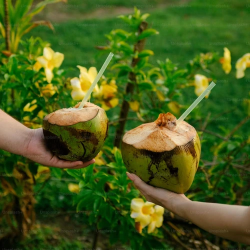 Green  Coconut