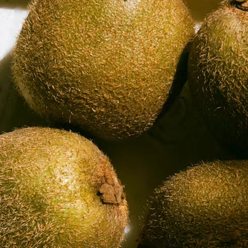 Kiwi
