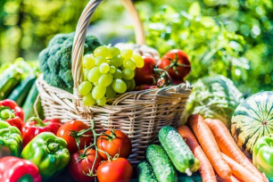 HappyEarth promo